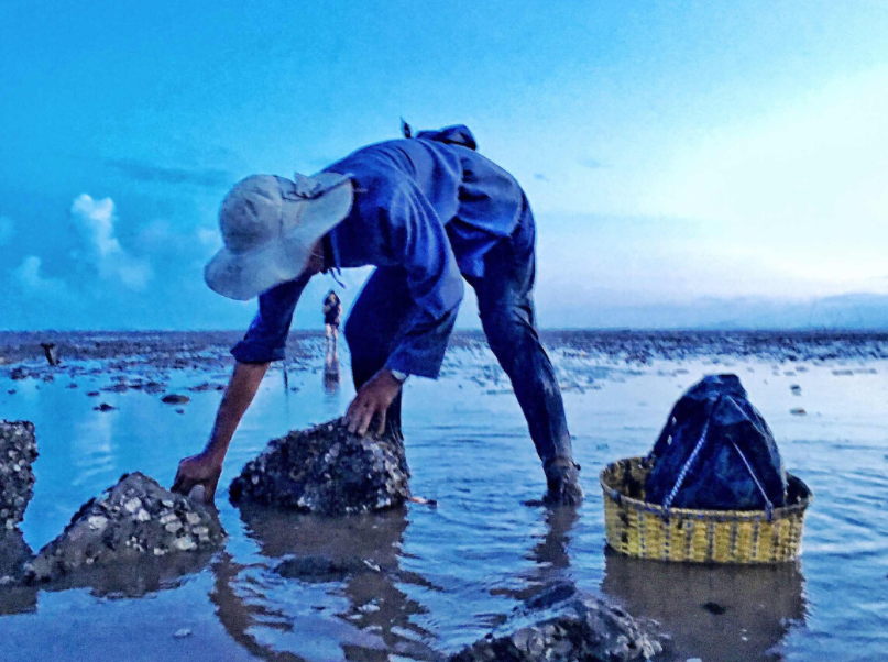 北海赶海探箔海钓注意事项