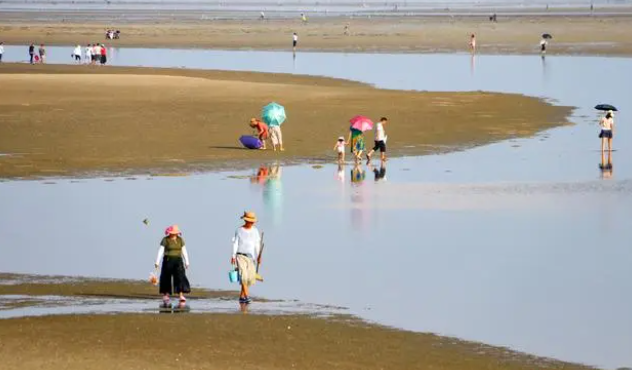 北海赶海的地方在哪里？怎么收费？