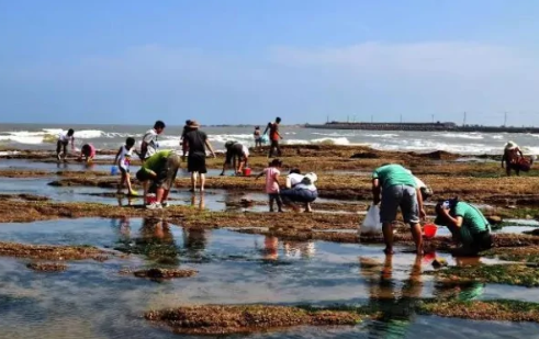 广西北海有赶海的地方吗?