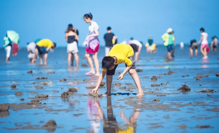 广西北海有赶海的地方吗?北海赶海游玩