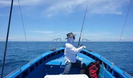 北海神华码头海钓