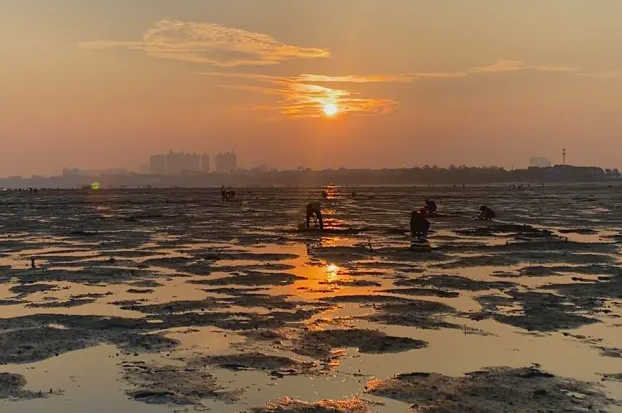 北海赶海怎么报名  13097792919