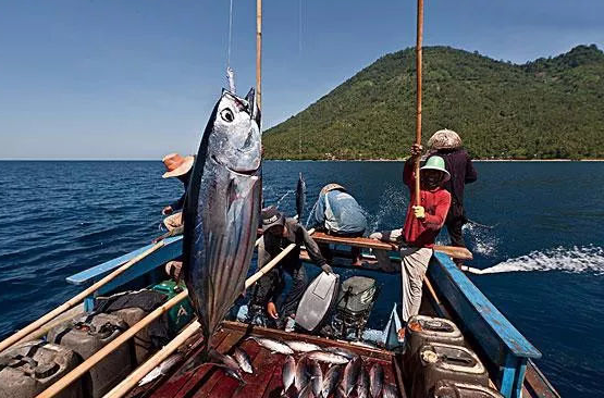 北海海钓钓鱼捕鱼租船游玩