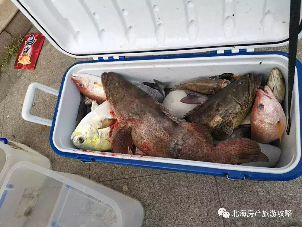 北海有出海钓鱼吗？租船联系电话是多少？