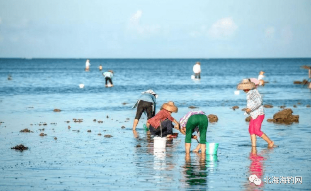 北海在哪里可以赶海，广西北海哪里有赶海的地方