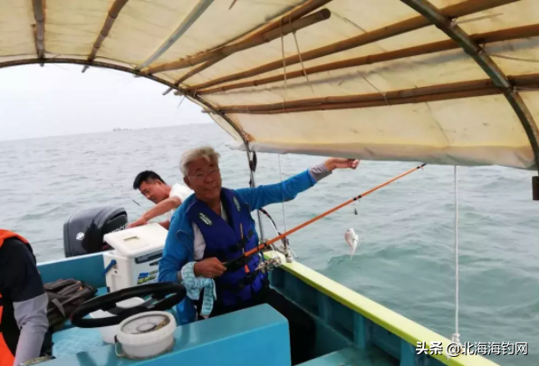 在北海，出海捕鱼钓鱼的船通常是怎么样的？