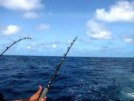 北海冯家江海钓钓点分享