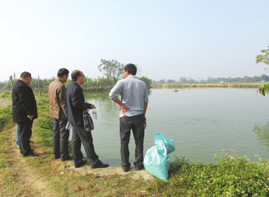 北海竹林盐场周边垂钓海钓