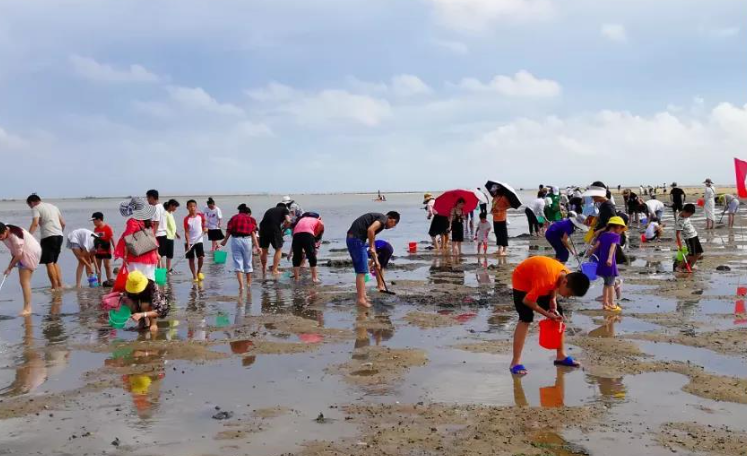 北海金海湾红树林赶海游玩