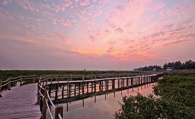 北海涠洲岛租船海钓，钓黑腊、黄脚腊鱼的方法技巧