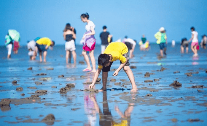 北海赶海的位置在哪里，怎么收费？