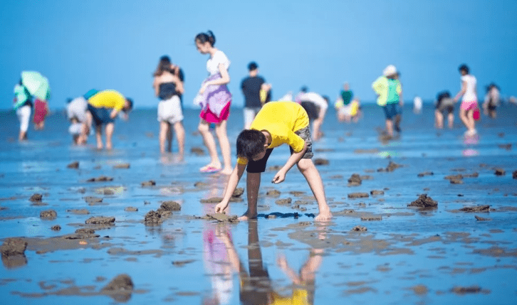 北海赶海的地方在哪里呢？赶海怎么联系？