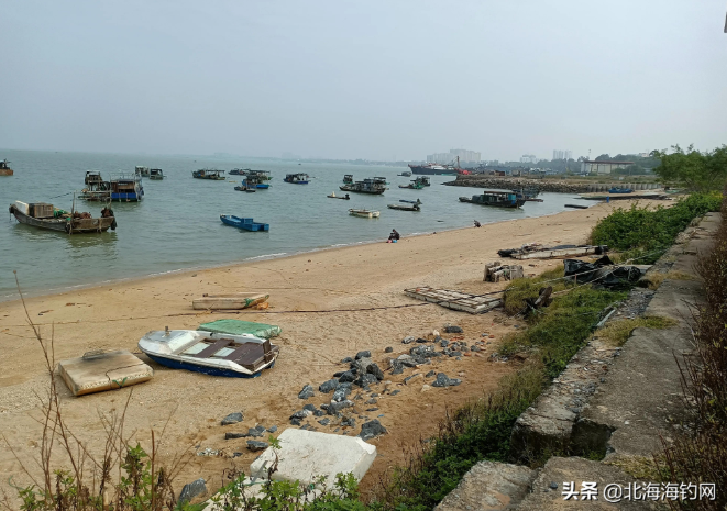 北海海钓：北海廉州湾沙脚鱼村海域钓鱼