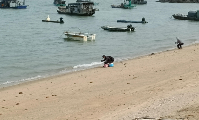 北海钓鱼网：北海廉州湾沙脚鱼村海域钓鱼