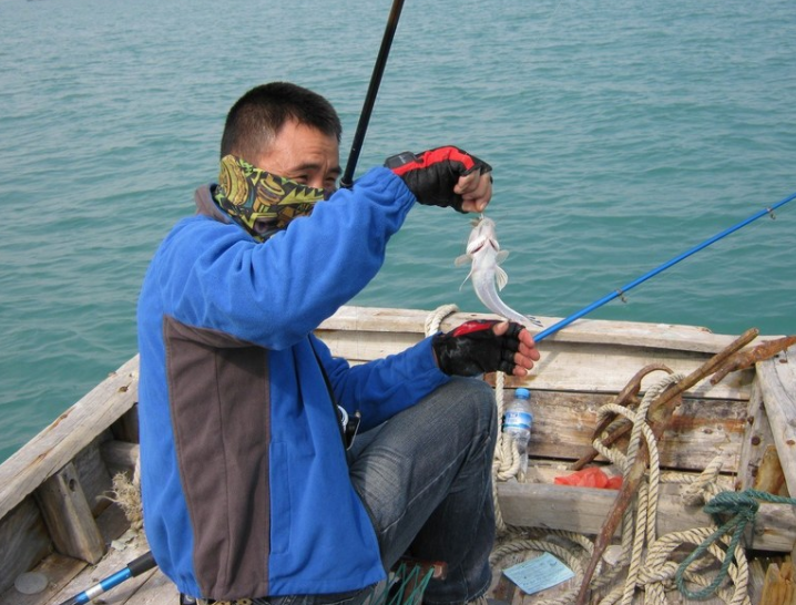 北海铁山港石头阜鱼排海钓，怎么报名联系？