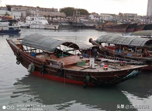 北海海钓:北海包船出海钓鱼捕鱼游玩