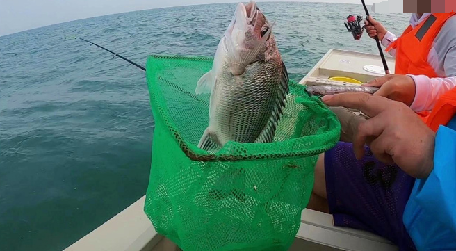 海南万宁市海钓钓点分享