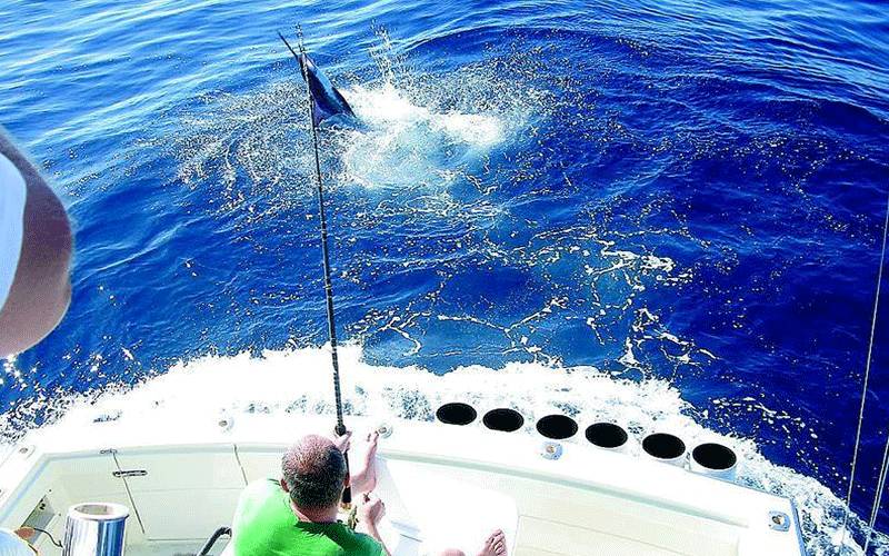 钓流水技巧方法