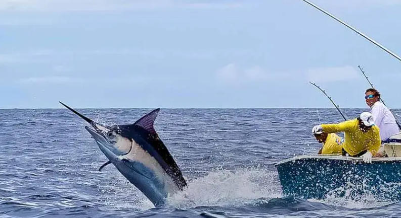 海钓杆的用法技巧