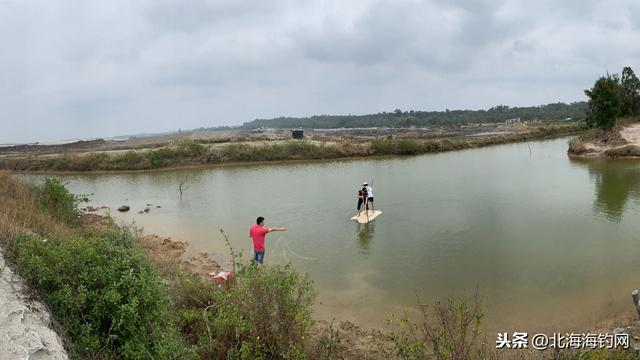 在北海白沙镇沙尾村，下网捕鱼钓鱼