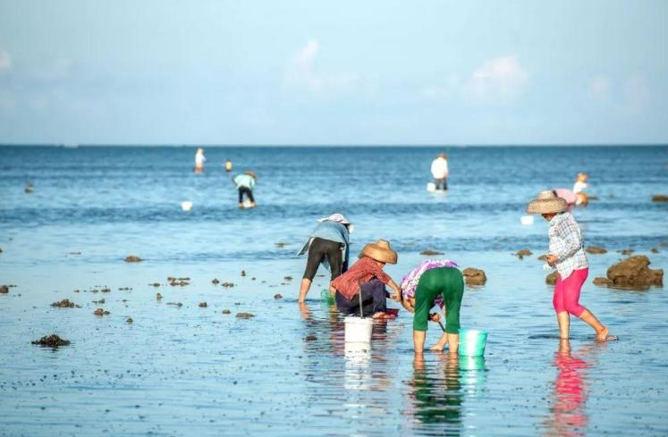 北海海钓地点有哪些？北海青山头海钓赶海好玩么？