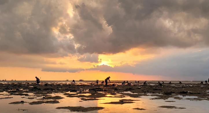 北海赶海怎么联系？在哪里赶海？