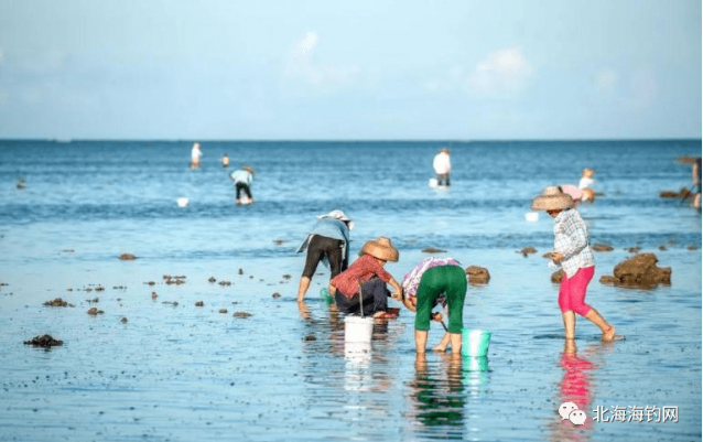 广西北海赶海游玩简单介绍