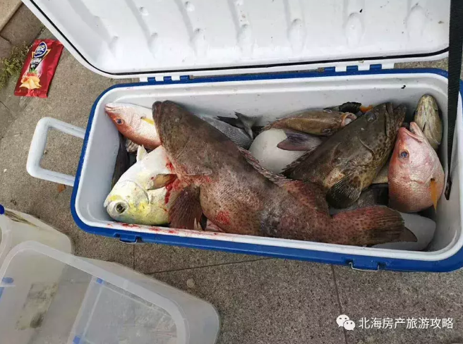 北海(涠油）油井海钓租船订船联系？