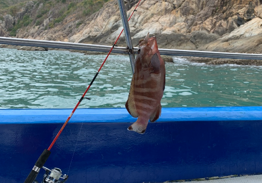 休鱼季，来北海还能出海钓鱼吗？