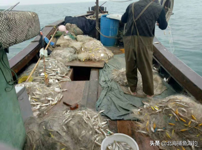 来北海旅游，不去赶海，包船出海钓鱼打渔也是一种不错的选择