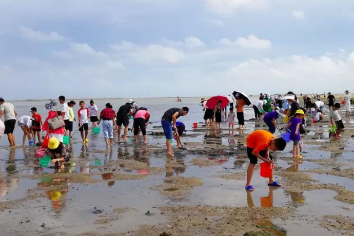 北海涠洲岛赶海游玩简单介绍